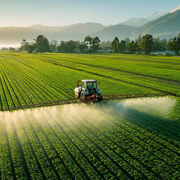 Rural Revitalization